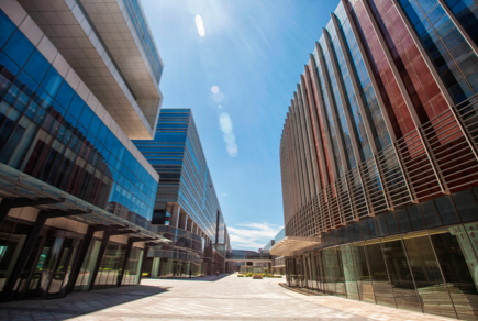 RUES DE THE FRENCH CITY.jpg