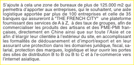 S&rsquo;ajoute &agrave; cela une zone de bureaux de plus de 125.000 m2 qui p